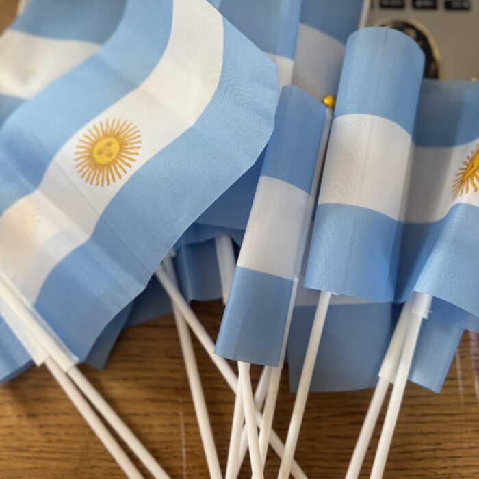 Banderitas Argentinas 30cm